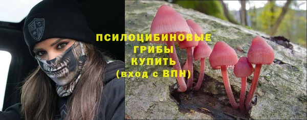 героин Заводоуковск